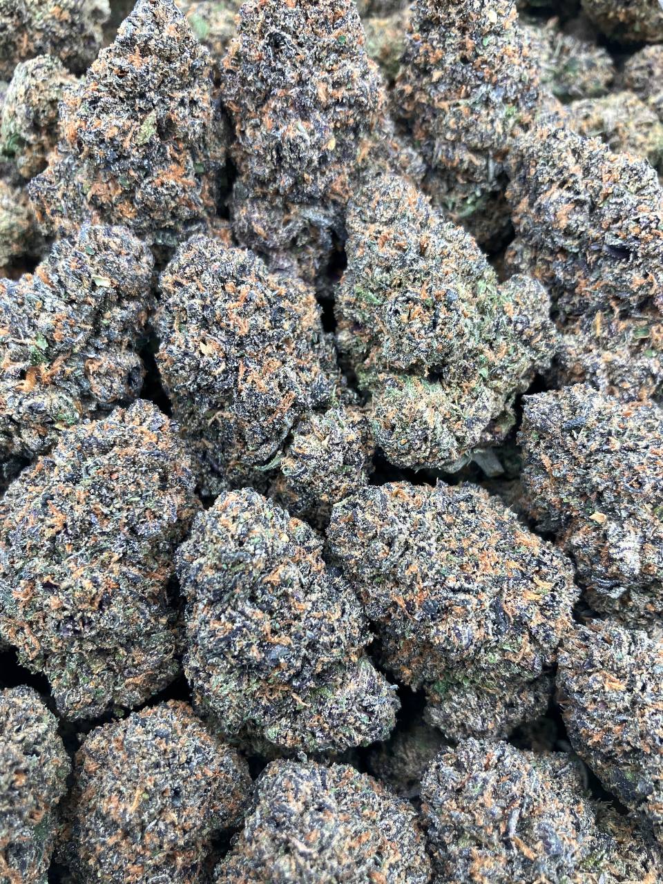 Berner Blast