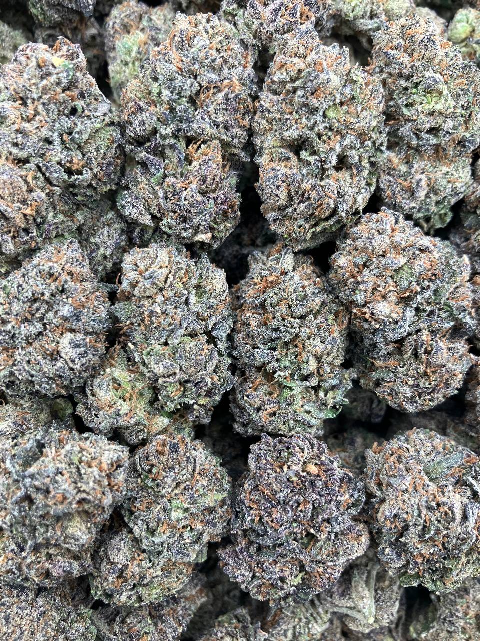 Blue Sherb Runtz