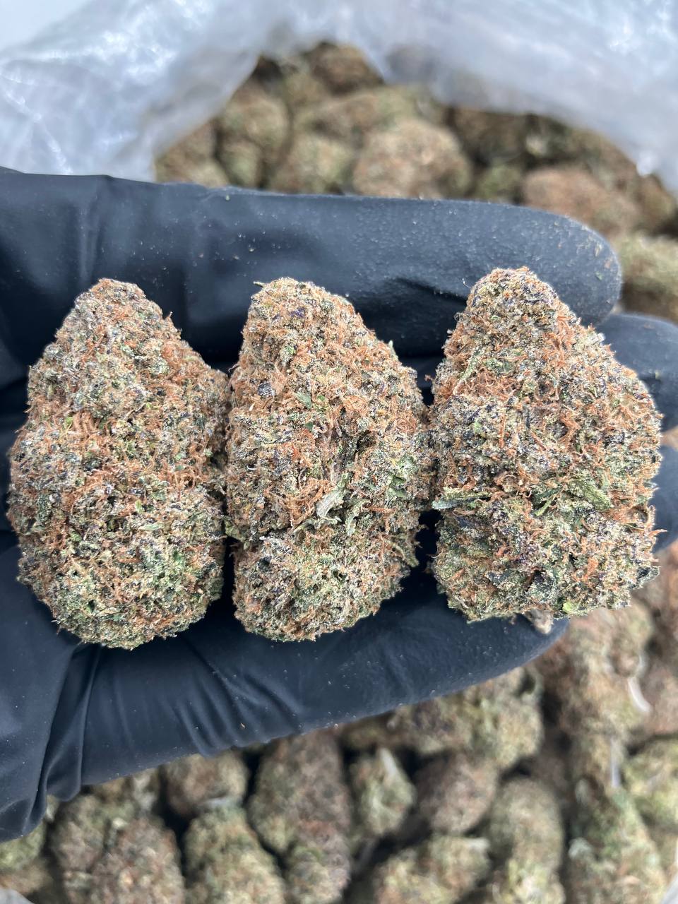 Gelato Cake