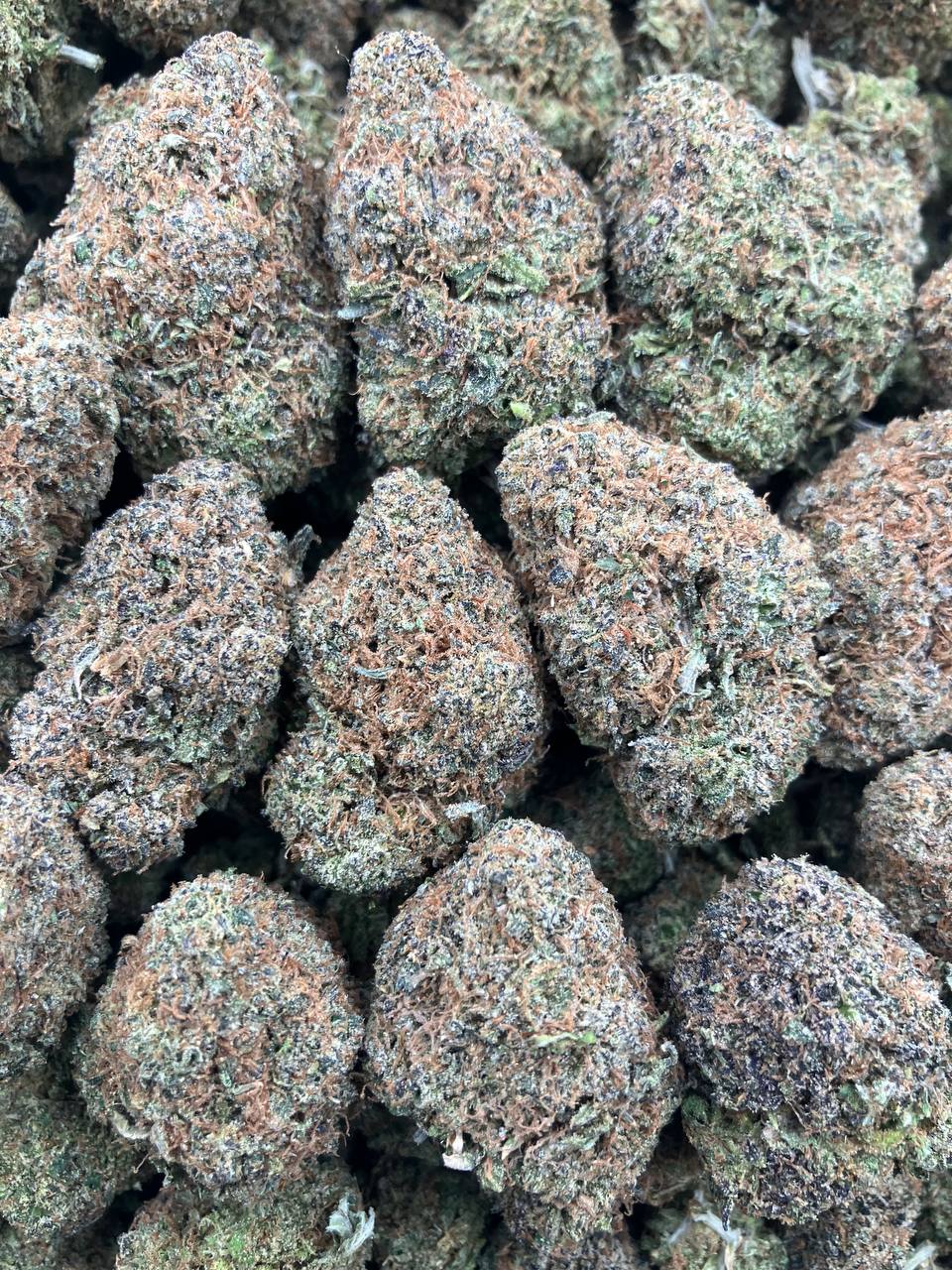 Gelato Cake