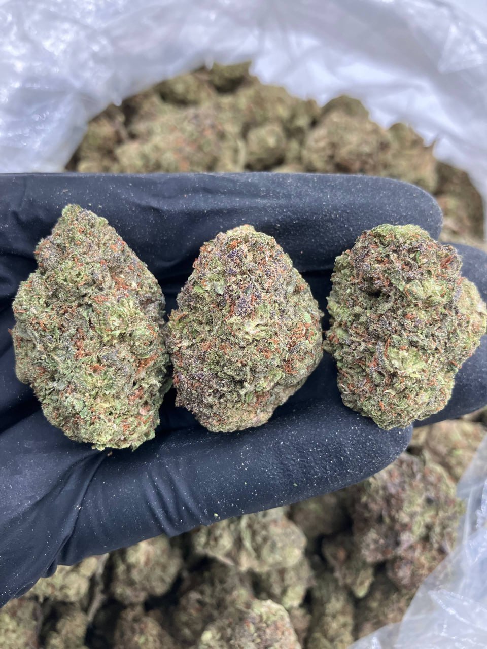 Candy Gas