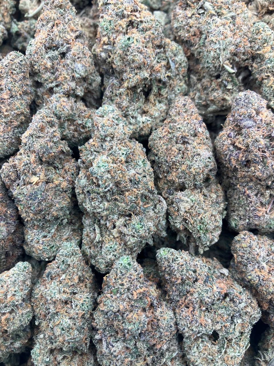 Cereal x Mac