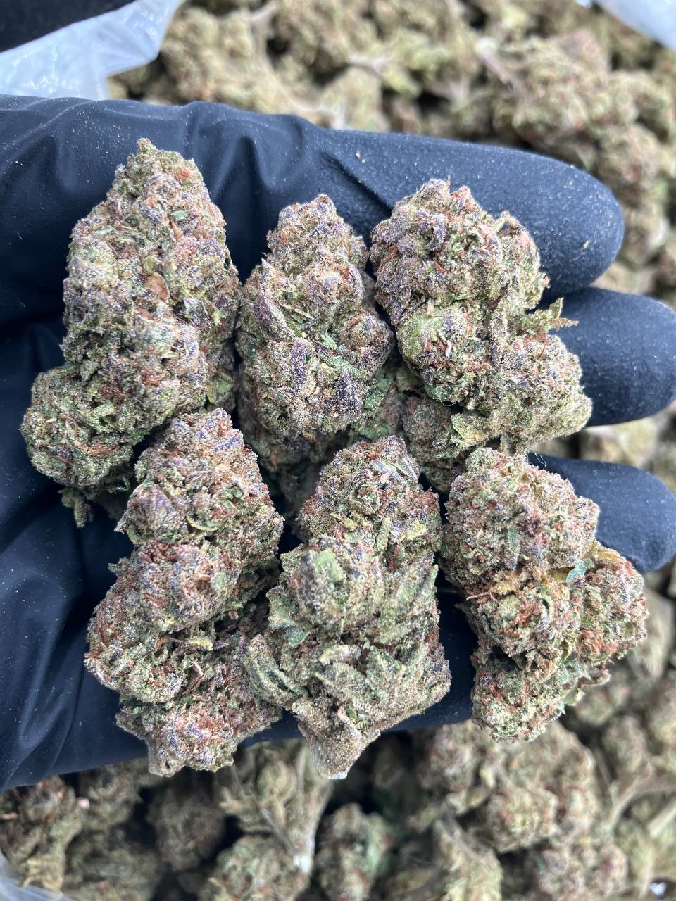 Lemon Cherry Diesel