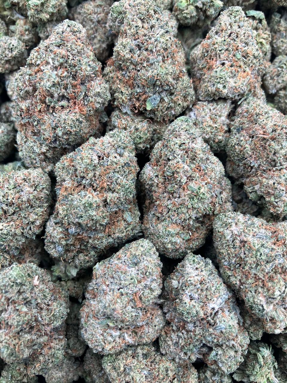 Headband OG