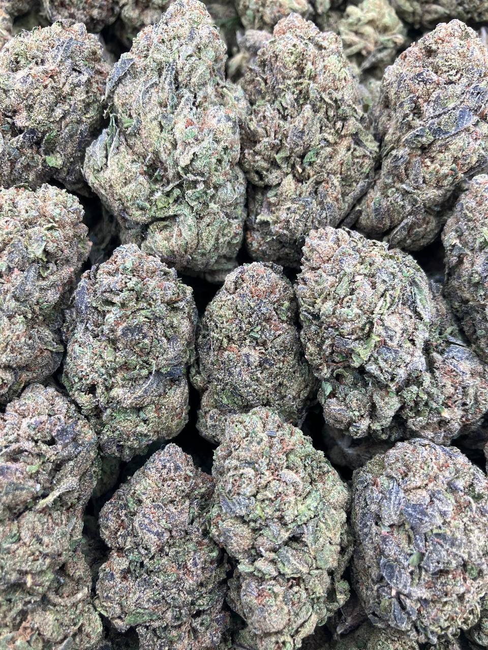 Labubu Gelato