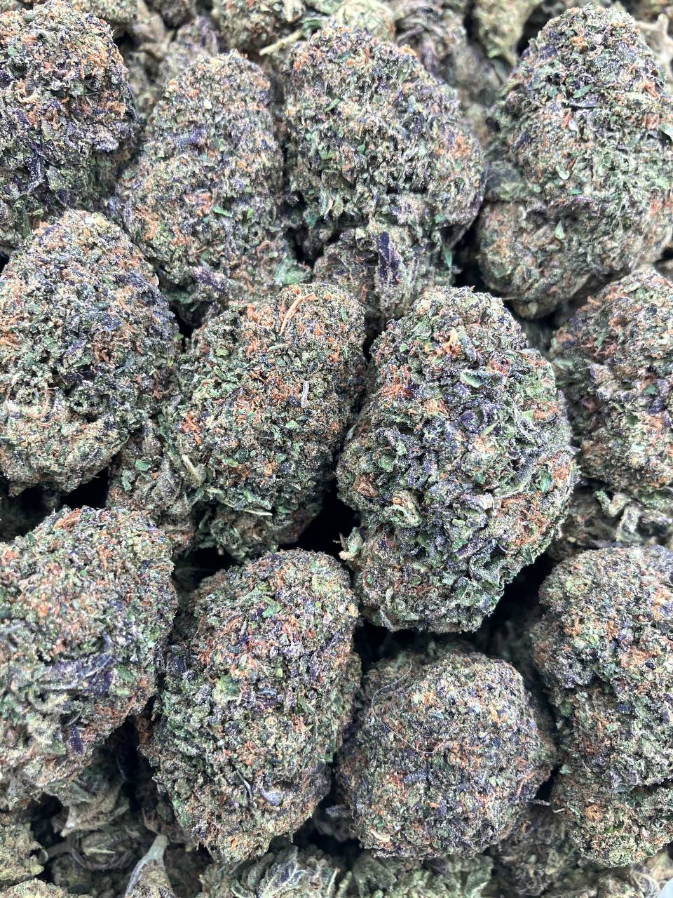Lava Cake Gelato