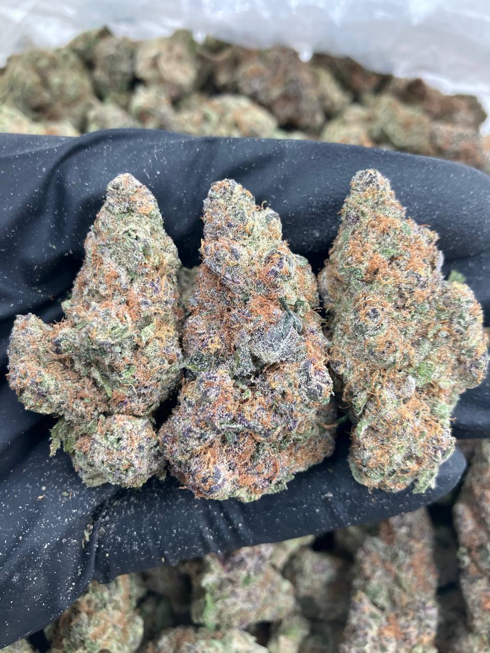 London Pound Cake