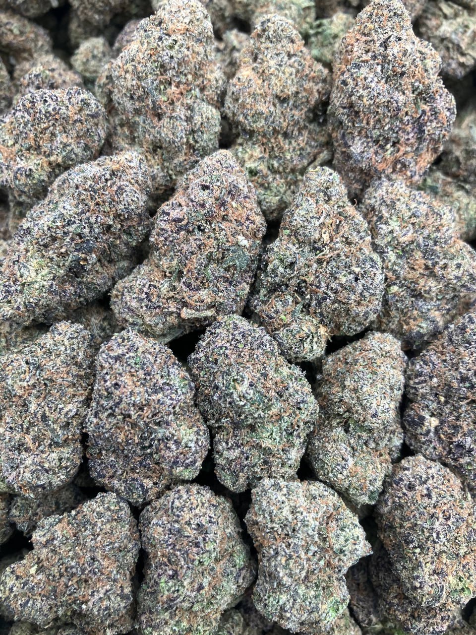 Peanut Butter Gelato