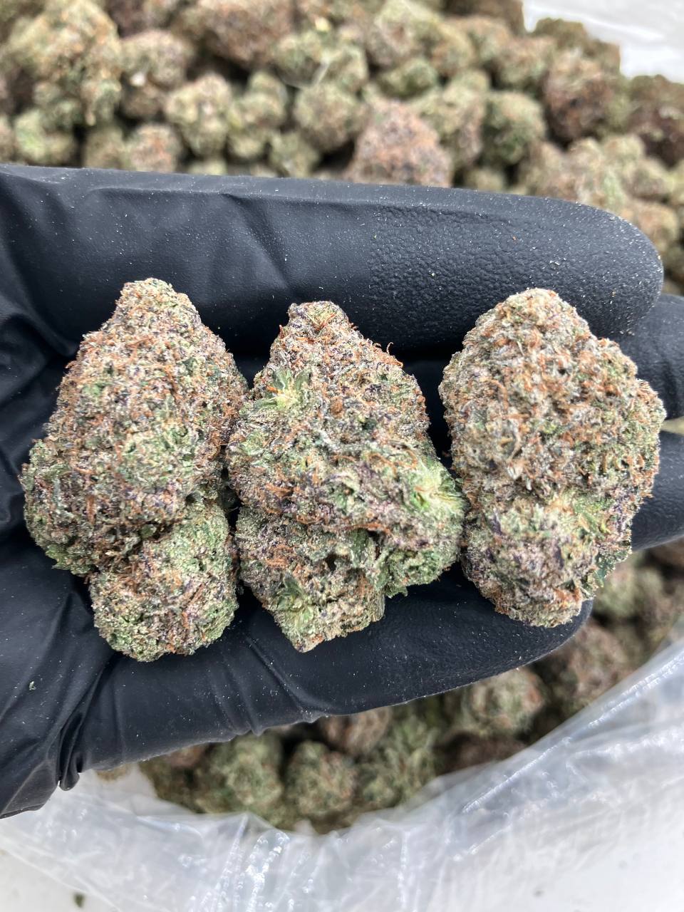 Pink Lemonade Gelato