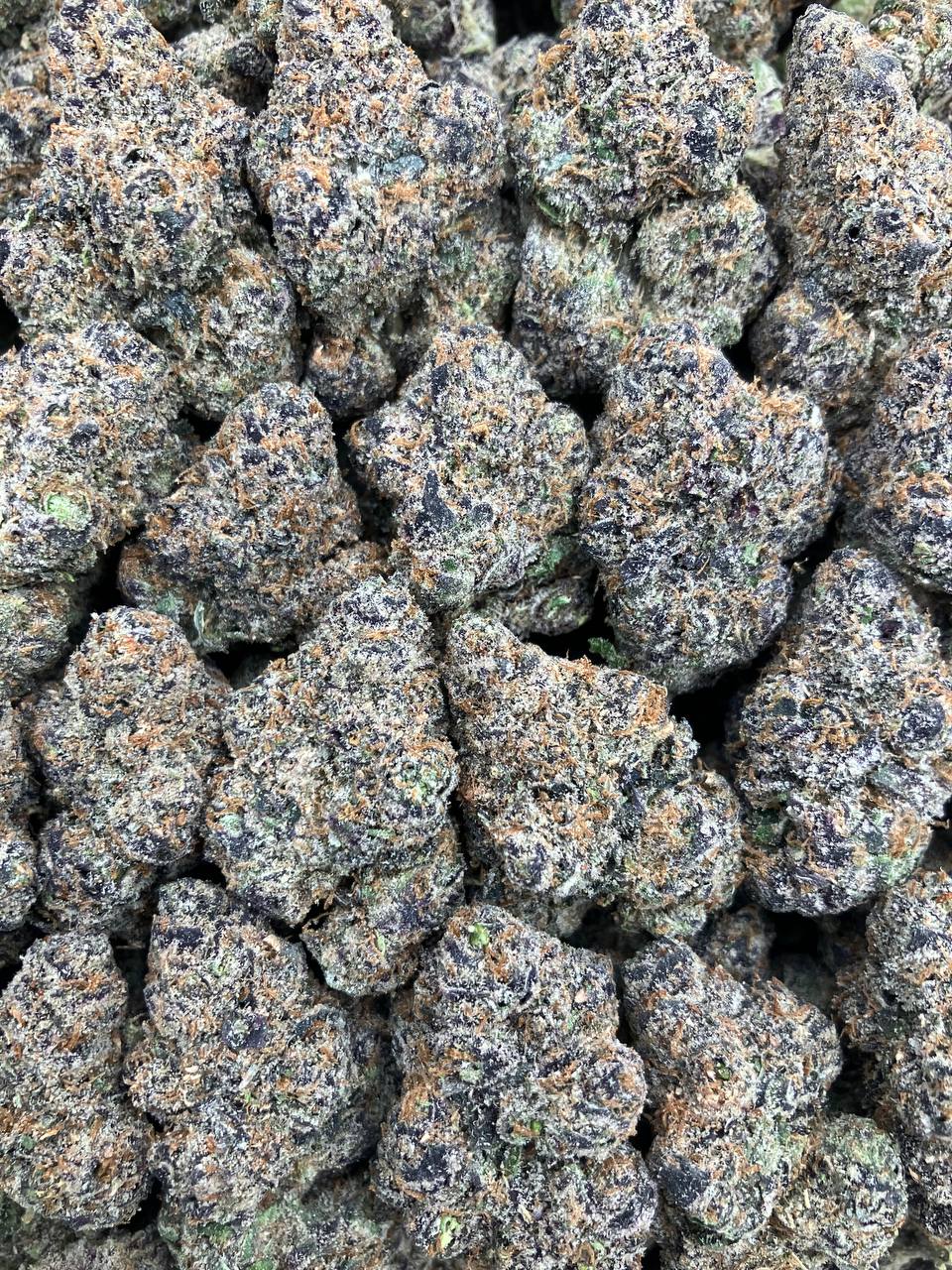 Terpene Torpedo