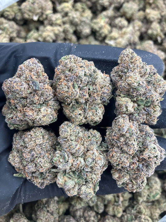 Cherry Snapple Gelato