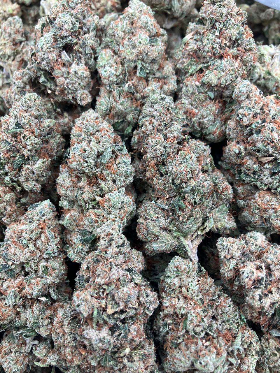 Abusive OG