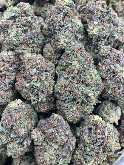 Apple Jack x Fritters