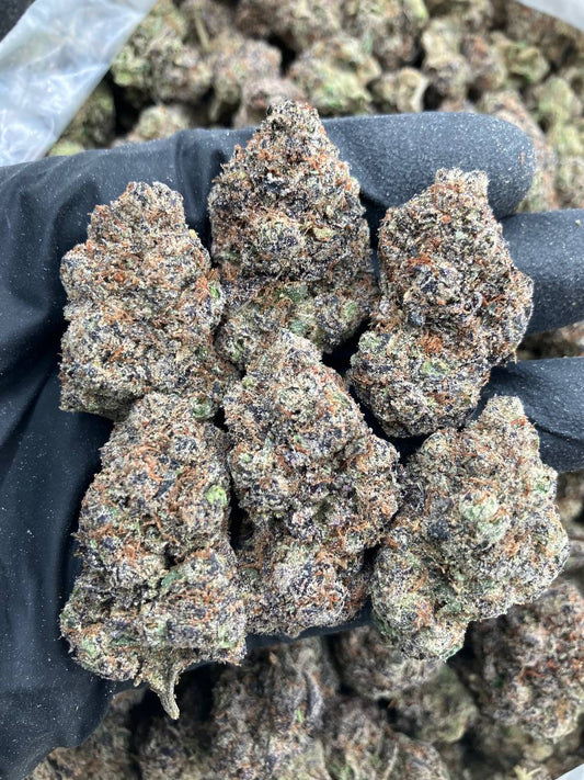 Apricot Gelato