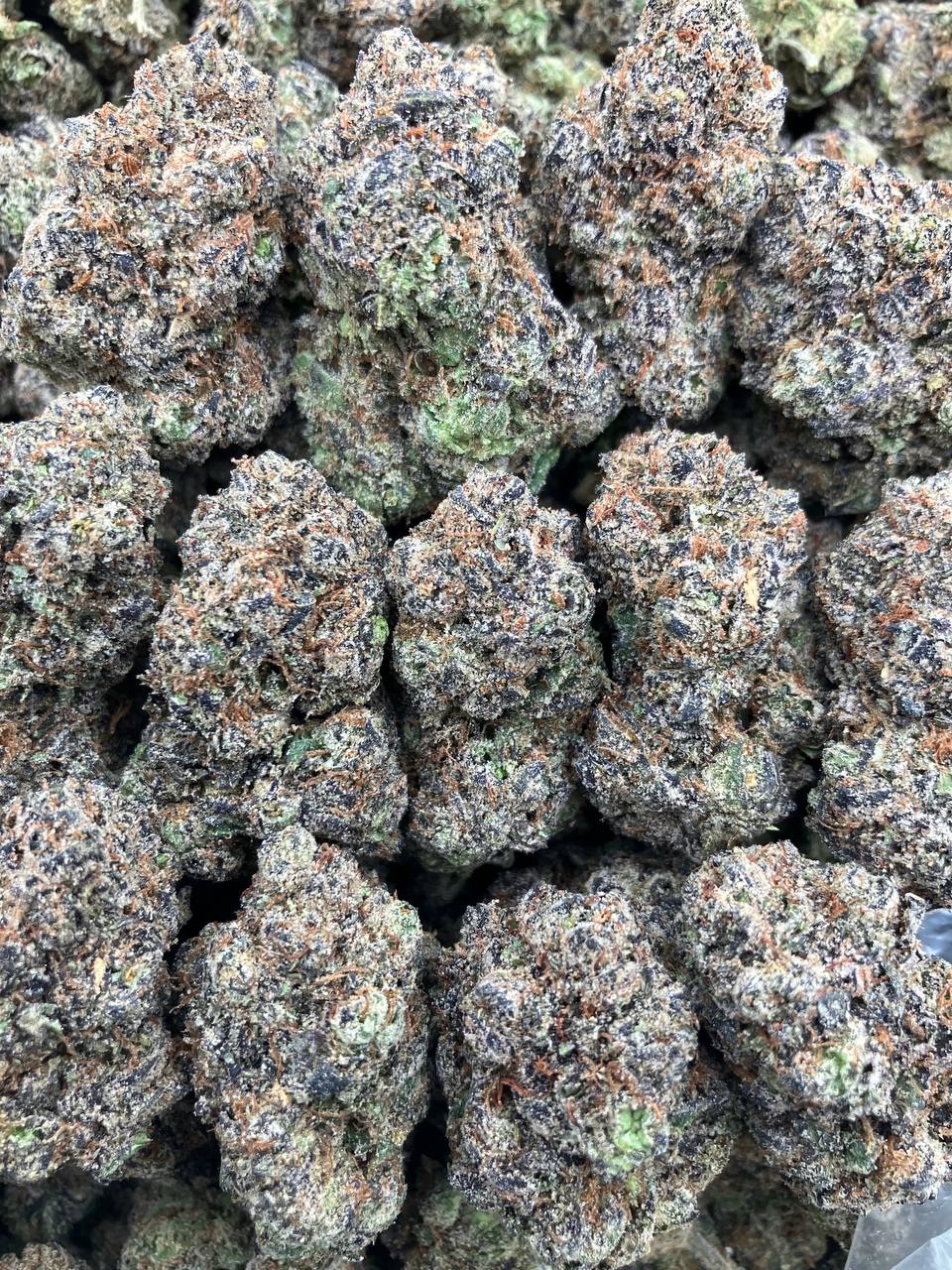 Apricot Gelato