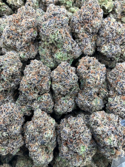 Apricot Gelato