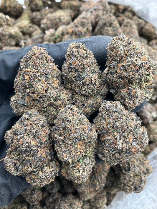 Berner Blast
