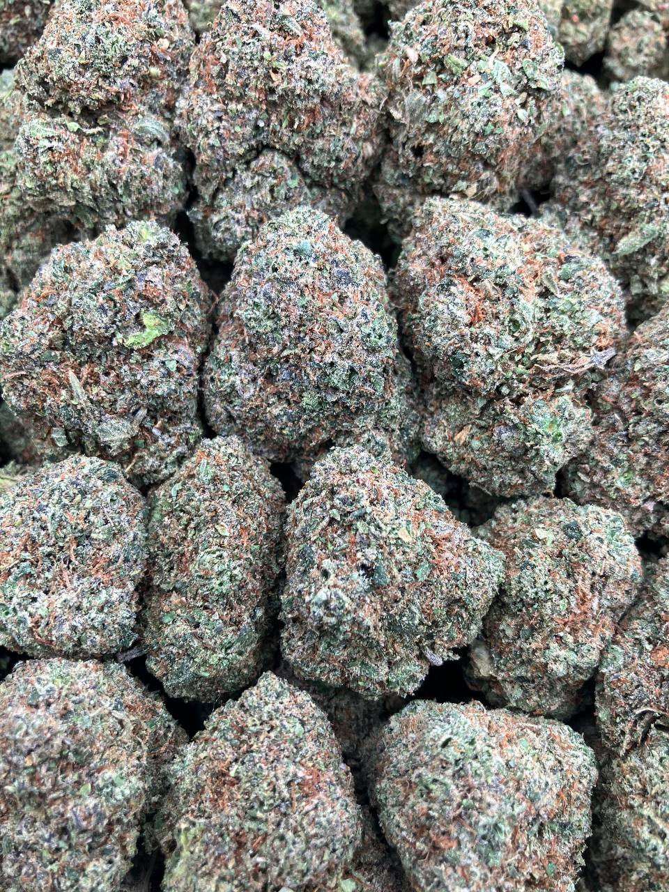 Bubble Gum Runtz