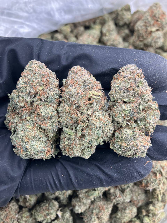 Candy Gelato