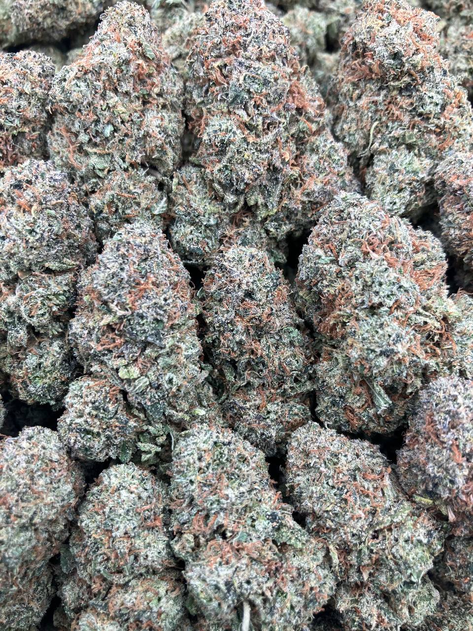 Candy Gelato