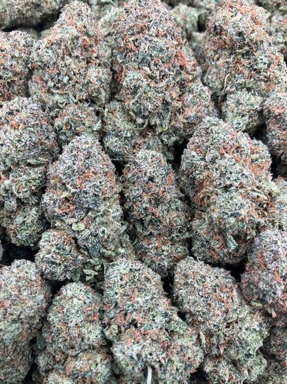 Candy Gelato