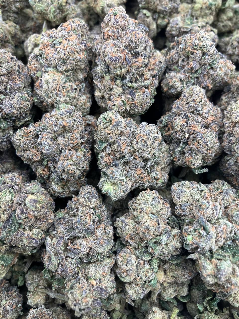 Cherry Snapple Gelato
