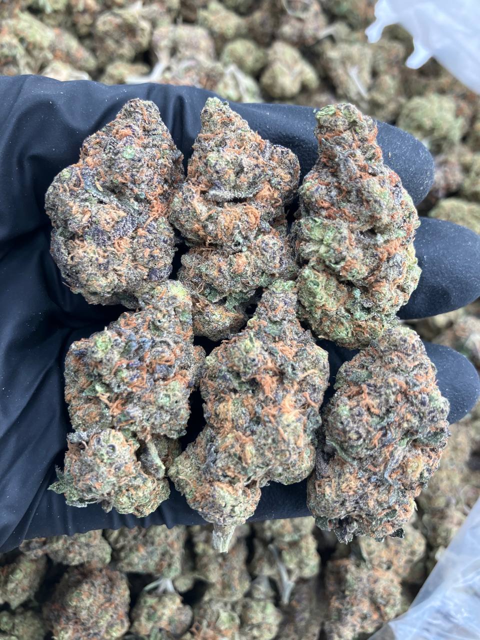 Cookie Stomper