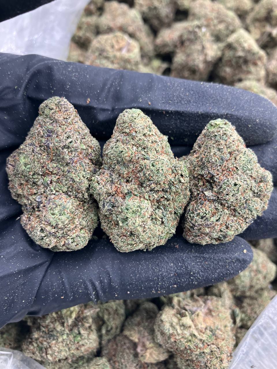 Diablo OG