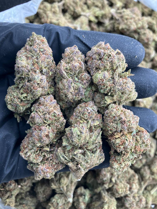 Lemon Cherry Diesel
