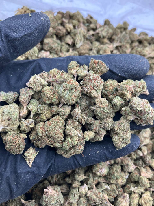 Draymond Green OG