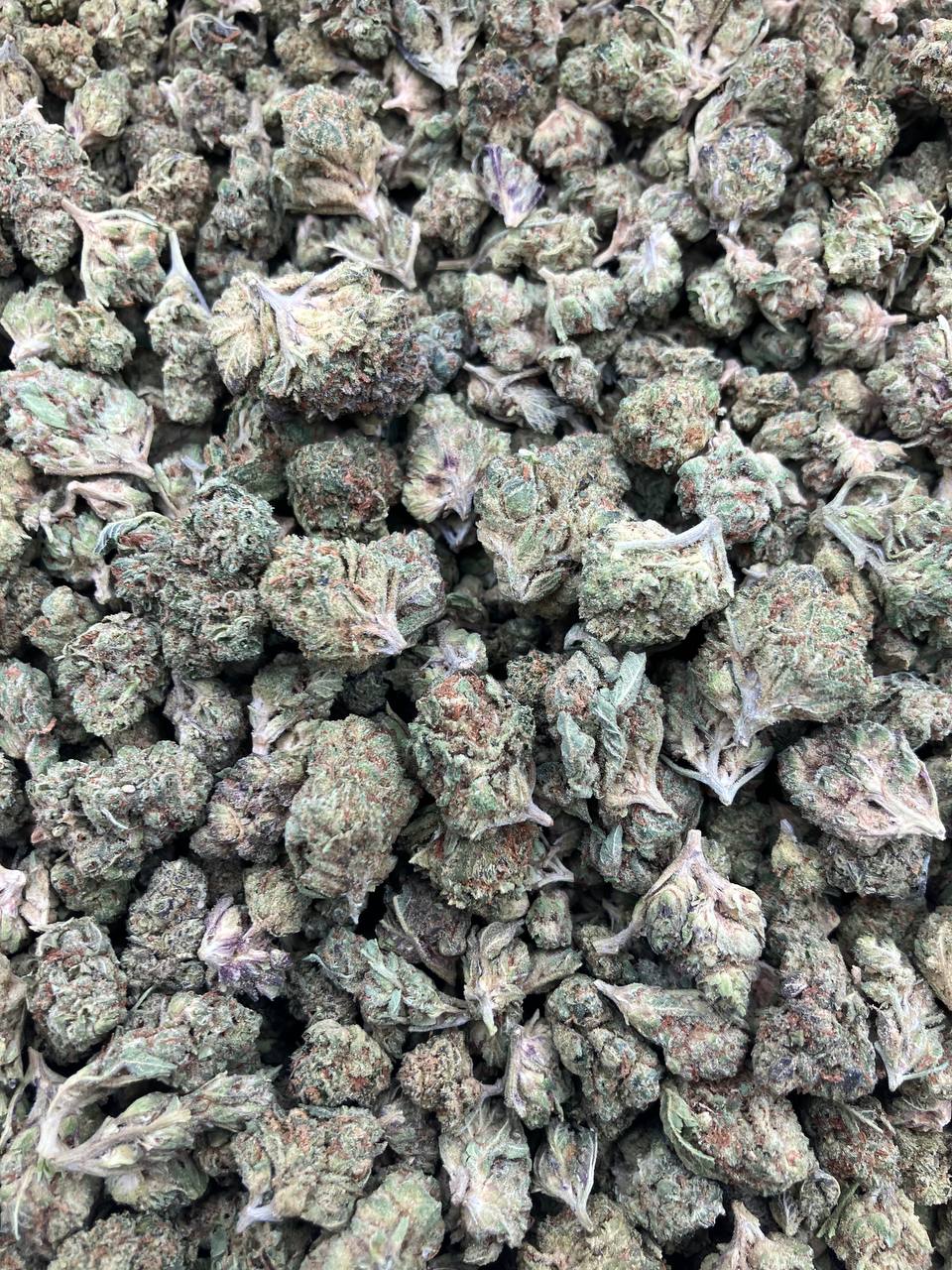 Draymond Green OG