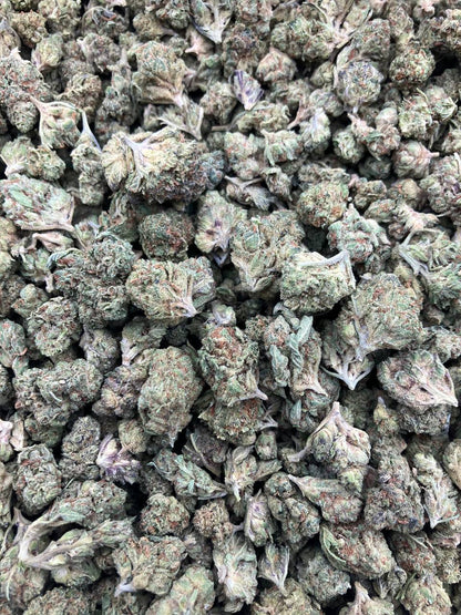 Draymond Green OG