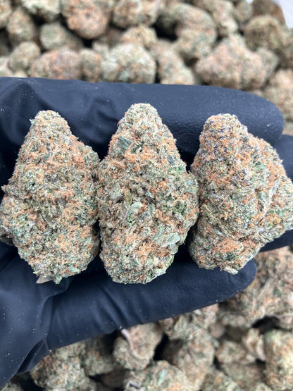 Rainbow Dream