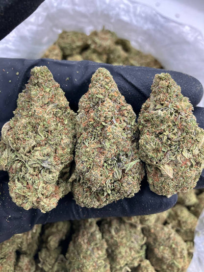 Rainbow Fritters