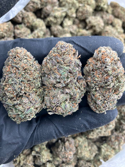 Frosty Runtz