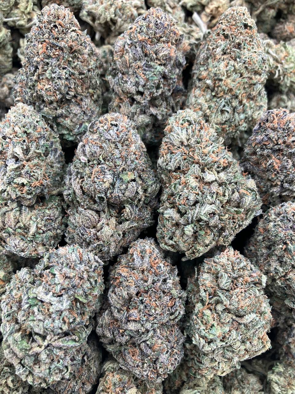 Frosty Runtz