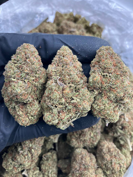 G45