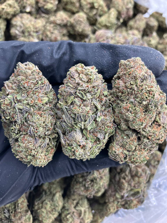 Gengar Gelato