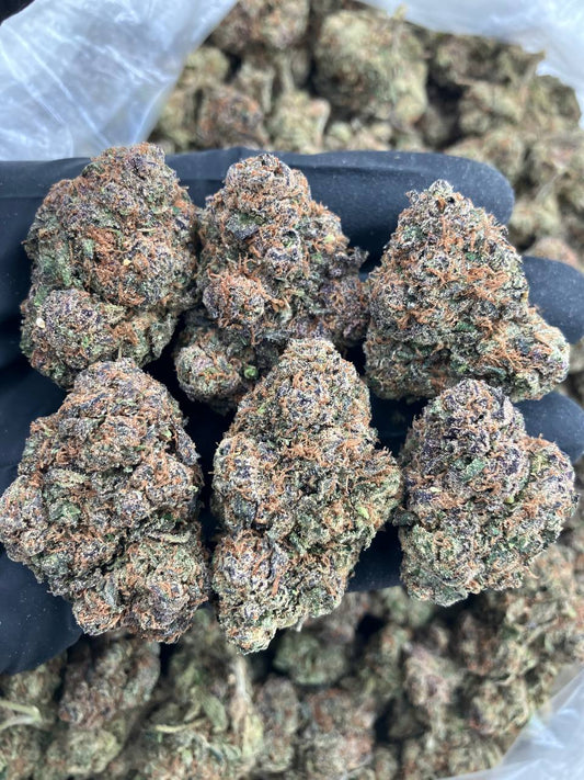 Purple Haze