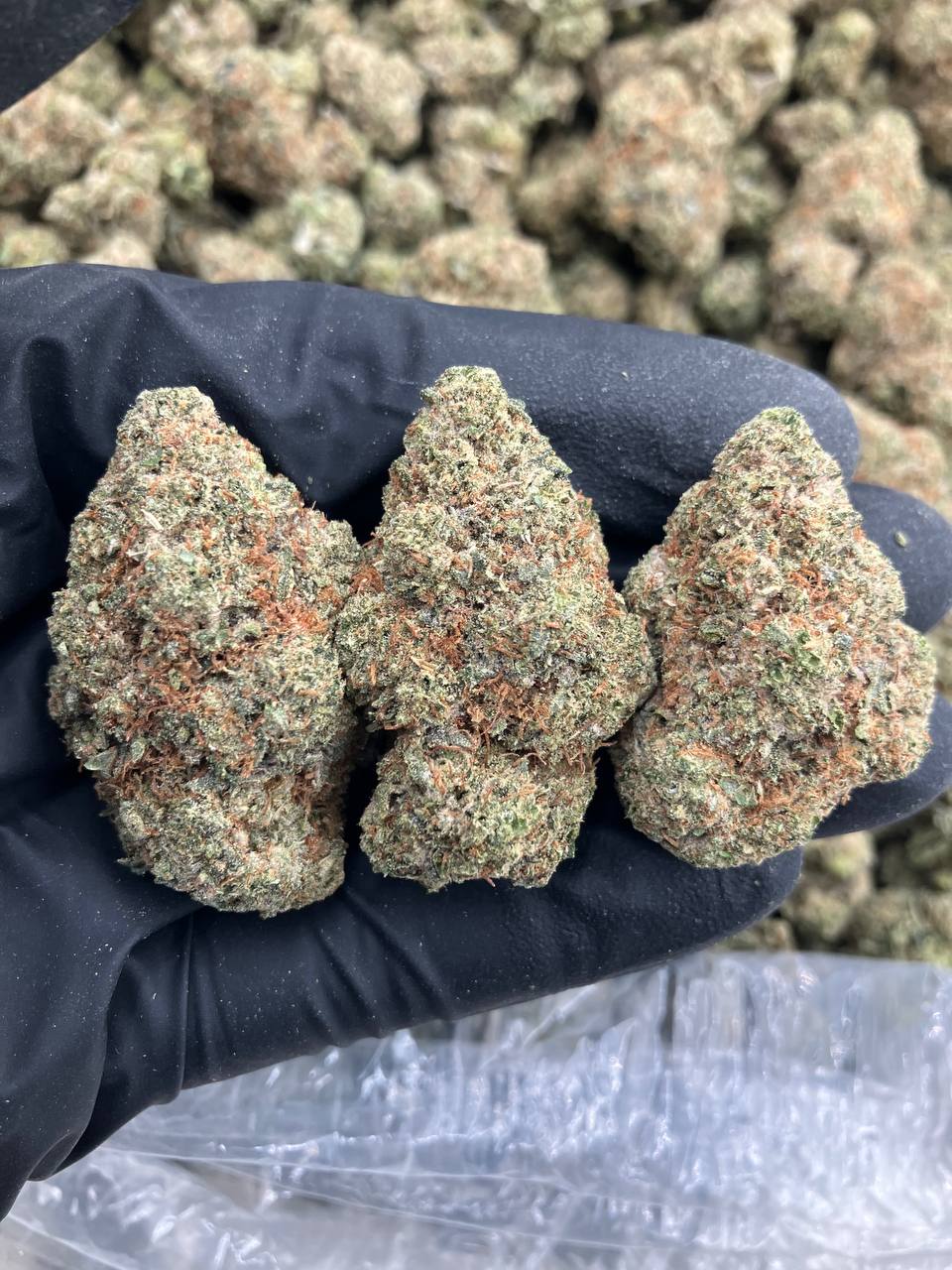 Headband OG
