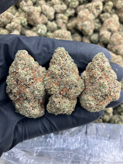 Headband OG