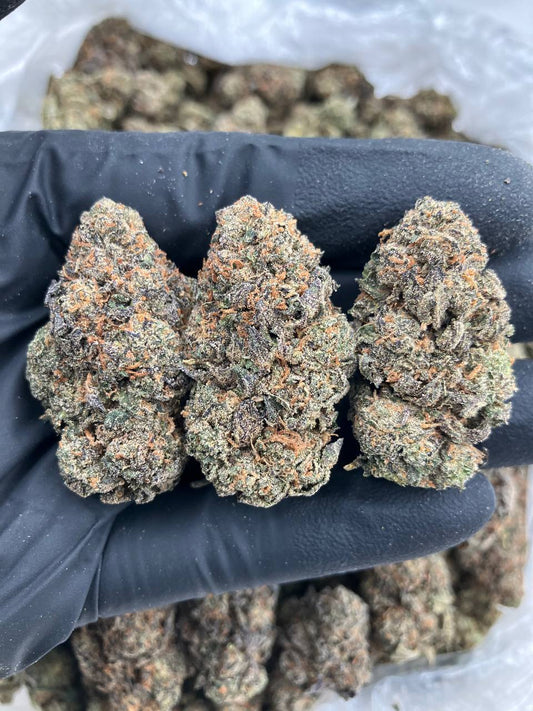 Horchata x Gelato