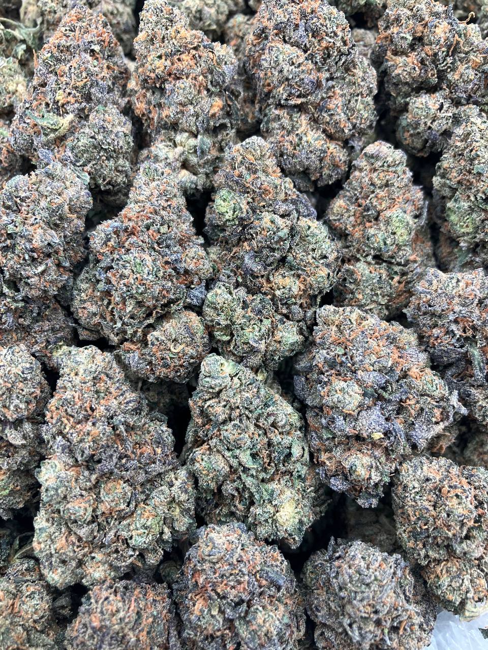 Horchata x Gelato