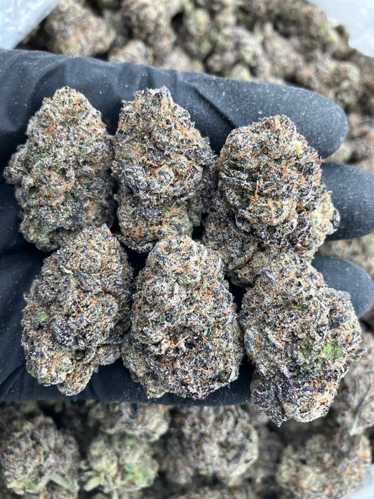 Gelato x Kushmints