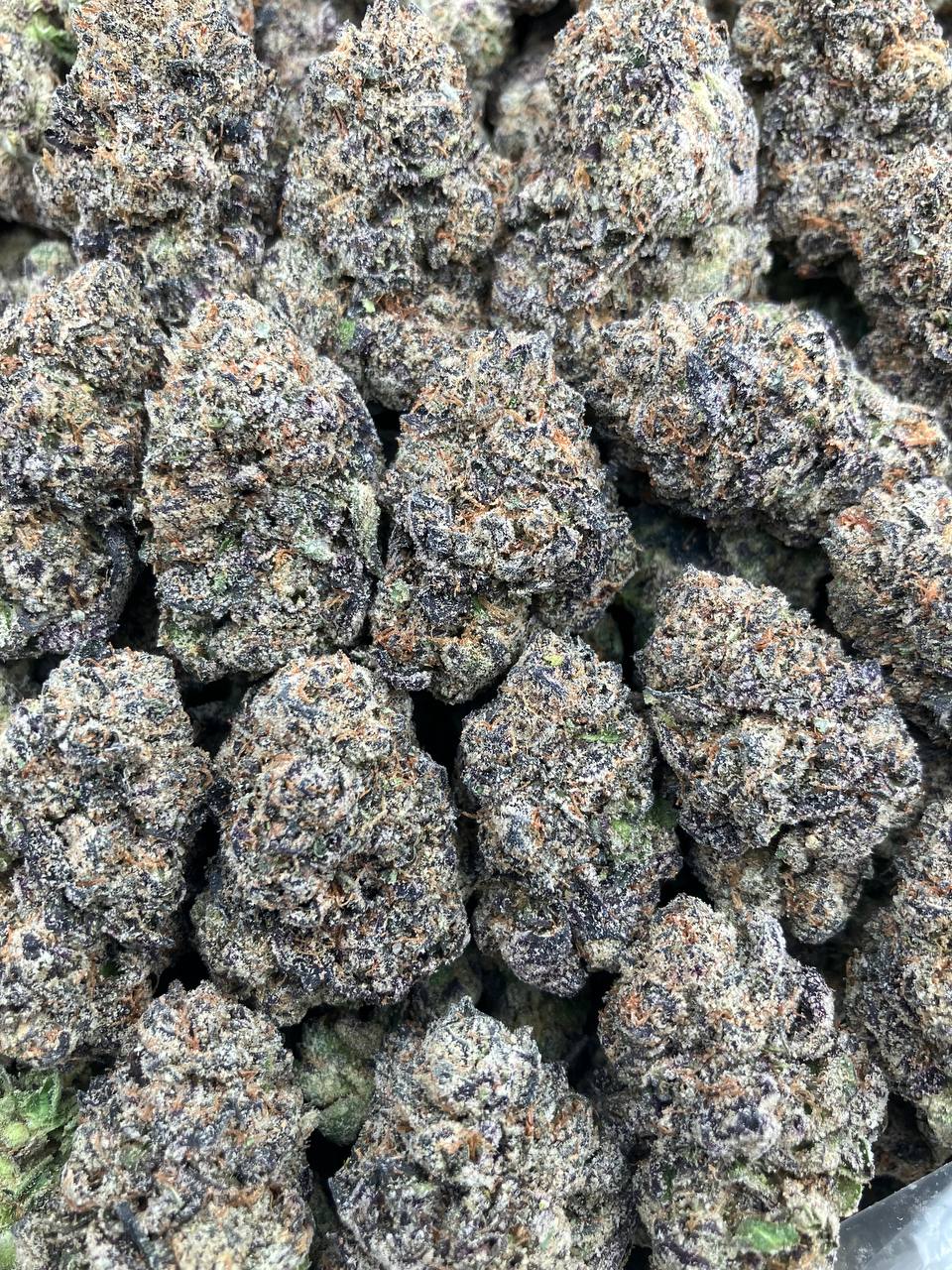 Gelato x Kushmints