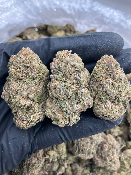 Labubu Gelato
