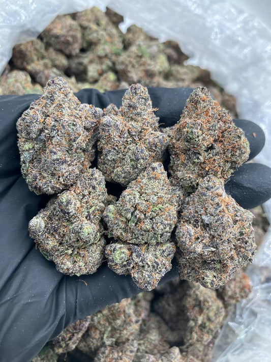 Larry x Gelato