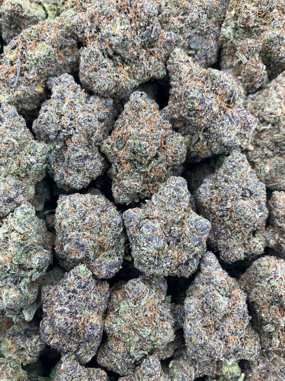 Larry x Gelato