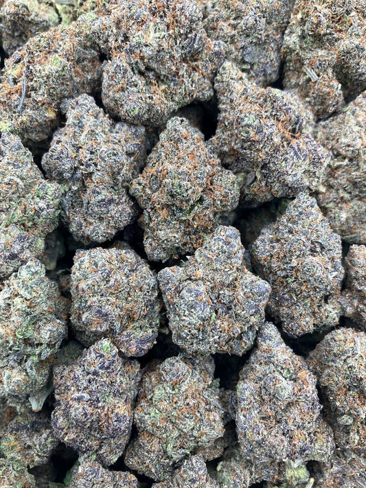 Larry x Gelato