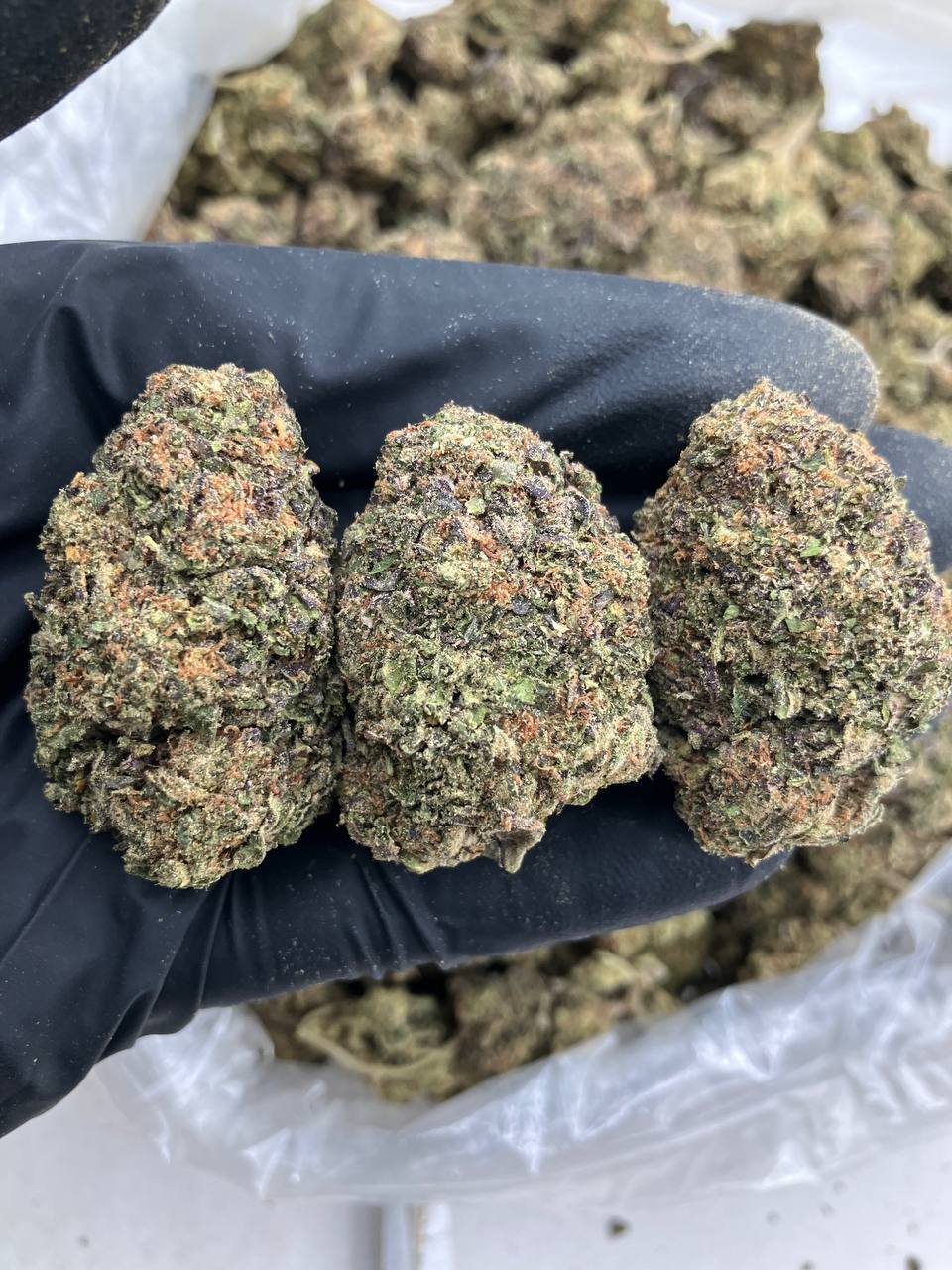 Lava Cake Gelato
